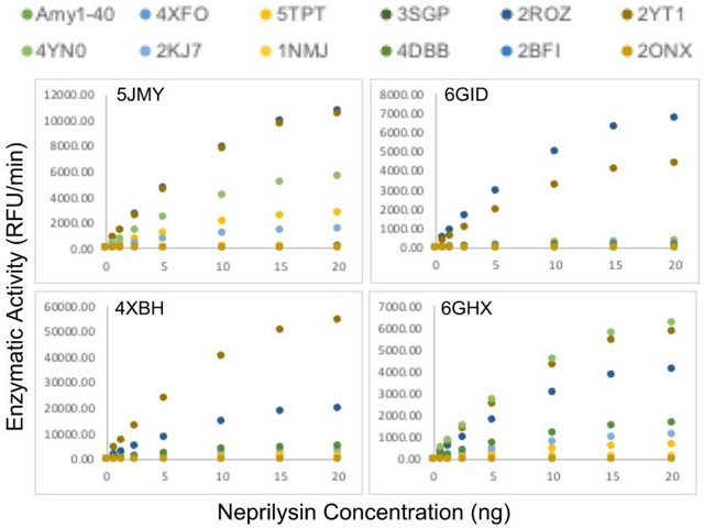 Enzyme-substrate kinetic curve of various neprilysin (5JMY, 6GID, 4XBH and 6GHX) and Amyloidβ peptides (4XFO, 5TPT, 3SGP, 2ROZ, 2YT1, 4YN0, 2KJ7, 1NMJ, 4DBB, 2BFI, 2ONX, Aβ1-40) under fixed substrate (15 μM) concentration.