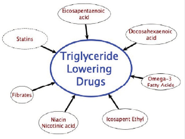 Drugs used for the treatment of hyper triglyceridemic.