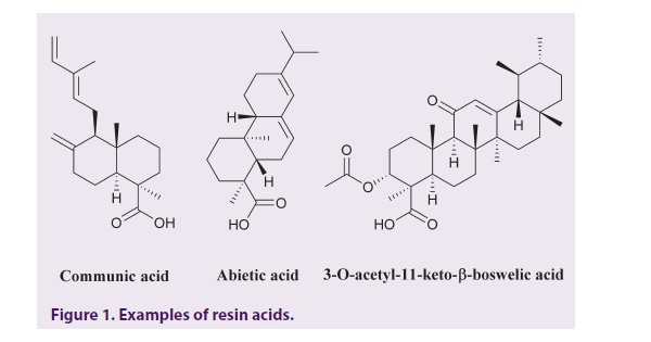 Examples of resin acids.