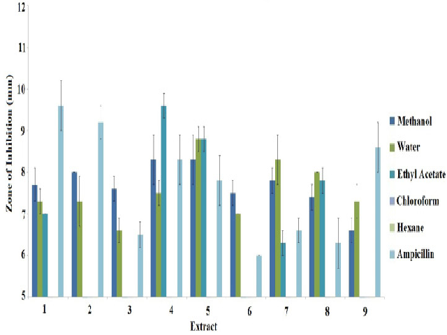 Antibacterial activity of G. cambogia fruit extracts and an ampicillin control (2 μg)measured as zones of inhibition (mm) against clinical bacterial strains