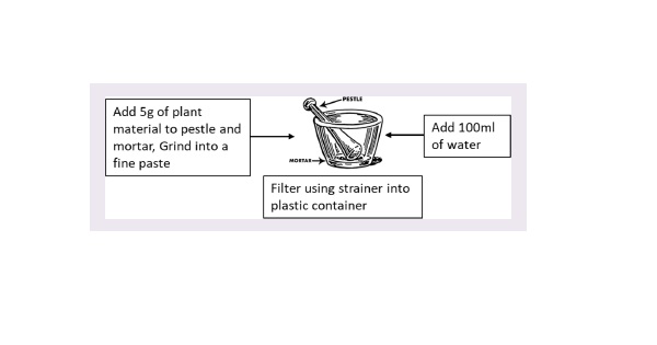 Preparation of the Plant Extract.