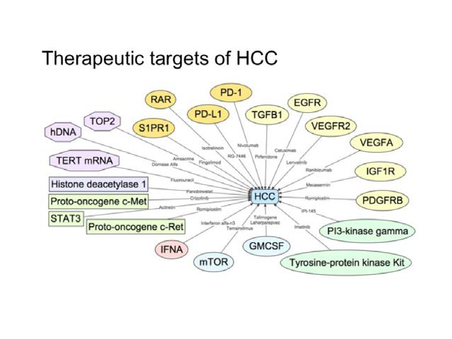 Summary of the therapeutic targets of hepatocellular carcinoma with a representative drug against each of the targets.